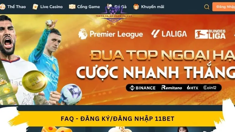 Câu hỏi thường gặp (FAQs)