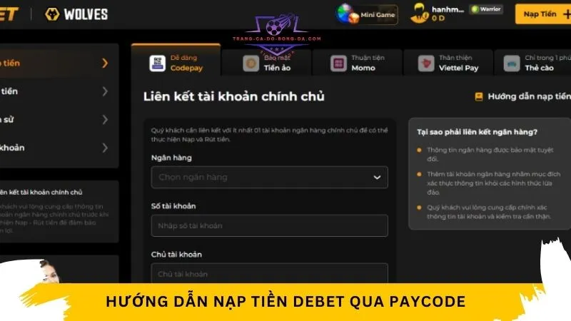 Hướng dẫn nạp tiền Debet qua Paycode