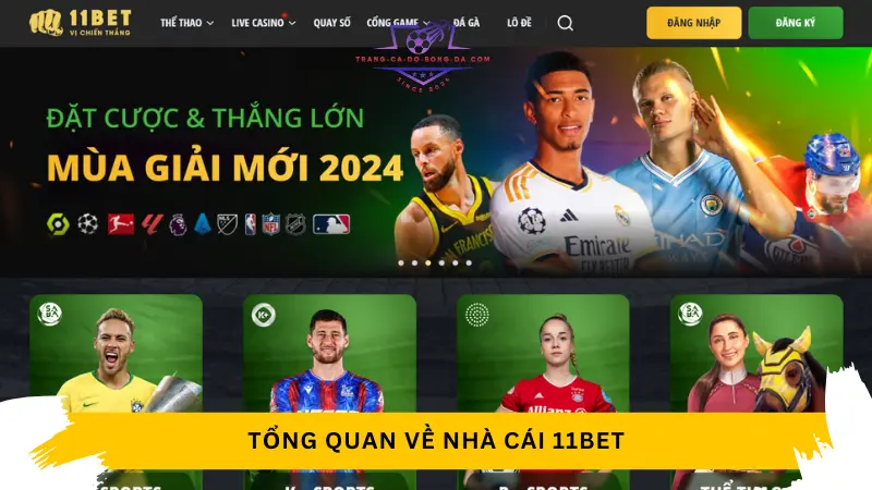 Tổng quan về nhà cái 11Bet