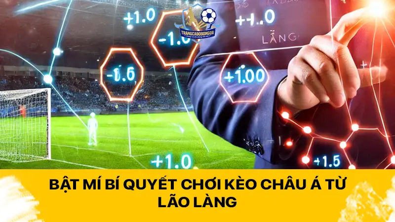 Bật mí bí quyết chơi kèo châu Á từ lão làng