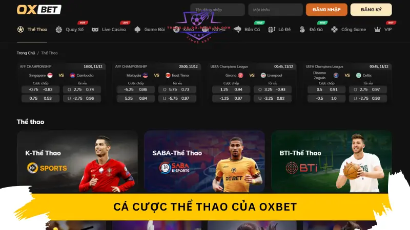 Cá cược thể thao của Oxbet được thiết kế toàn diện